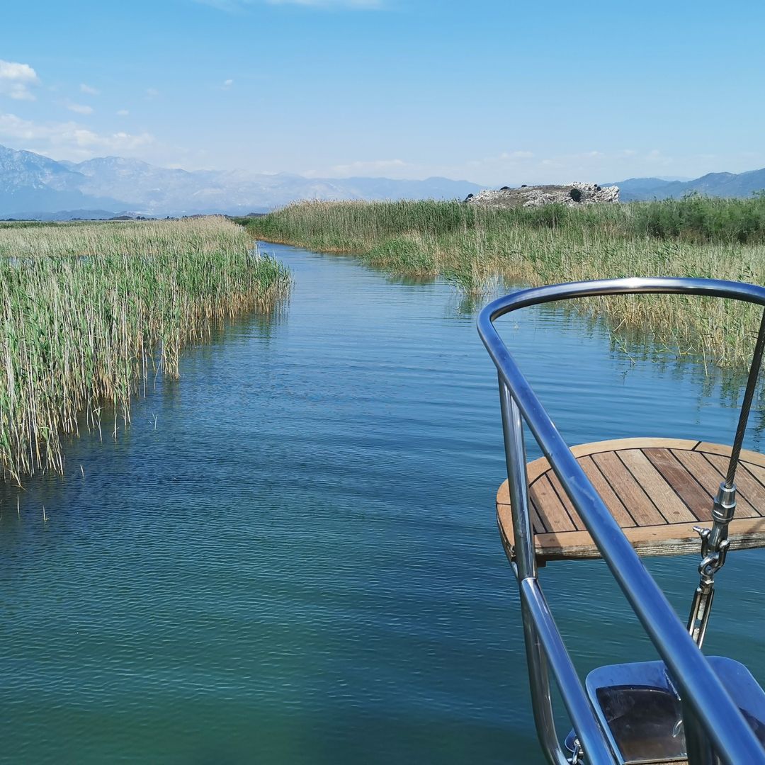 boat trip through reeds